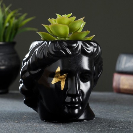 Kashpo - Organizer "David's head" Black with gold, 11x10x11cm-1
