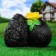 Garden figure "Hedgehogs recognition of love" 29x22cm