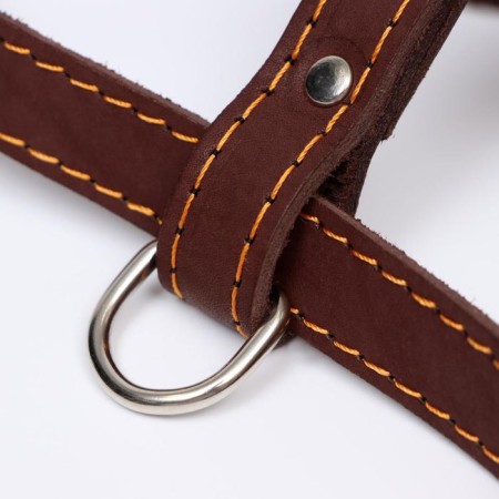 Leather slide "Walking", 2 cm, Osh 46-58 cm, og 78-85 cm, brown-3
