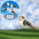 Plug "bird Blide Blue" 3x5cm/9cm, set 12pcs