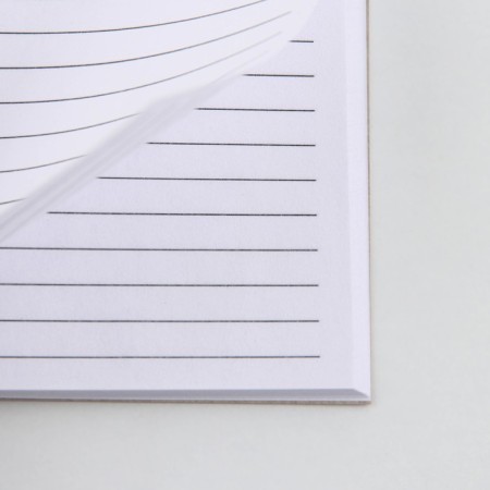 Diary in the thin cover A6, 52 sheets "Flowers"-2