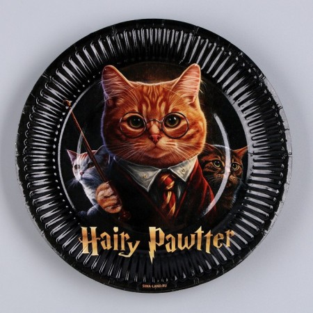 Disposable paper plate "Happy Birthday", magic cat, 18 cm-1