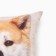 Decorative Ethel Pillow "Akita-Inu" 40x40 cm, Gabardin, 100% p/e