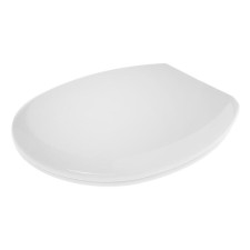 The toilet seat 