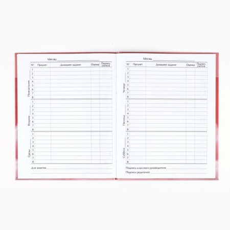 School diary for grade 1-11, in an integrated cover, 40 l. "Cat on the cloud"-2