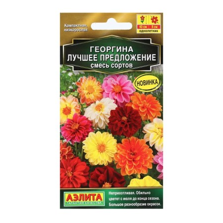 Georgin's flowers "best sentence", a mixture of varieties, 7 pcs