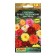 Georgin's flowers "best sentence", a mixture of varieties, 7 pcs