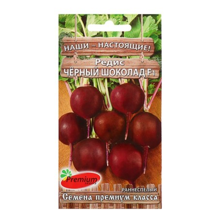 Seeds Radis "Black Chocolate" F1, 1 g