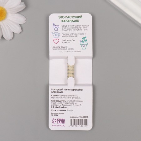 Growing gift pencils Mini "Lavender"-1