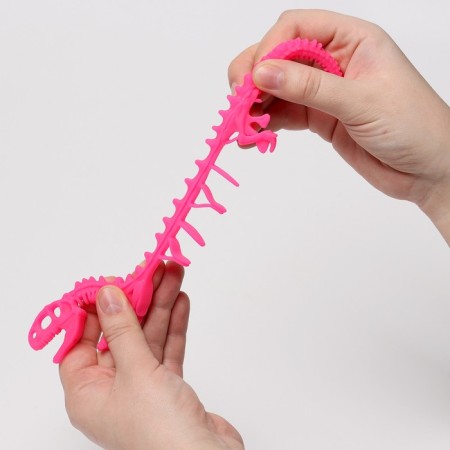 Anthistress Mick "Dinosaurus Skeleton", in showbox-5