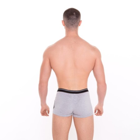 Panties men's boxers "lion", color gray melange, size 56-4