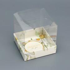 Box of the team with PVC lid, 