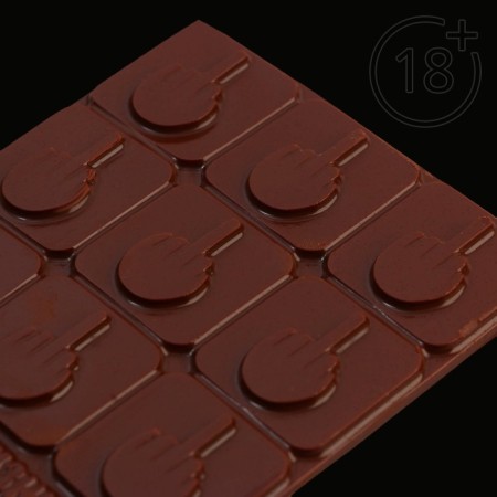 Chocolate form "I go through life", 22 x 11 cm 18+-6