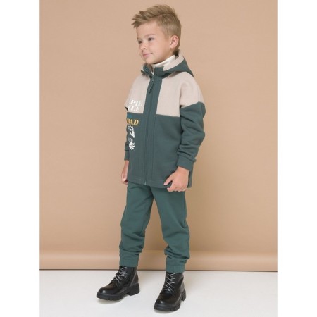 Pelican's sweatshirt for a boy, height 98 cm, green color-6