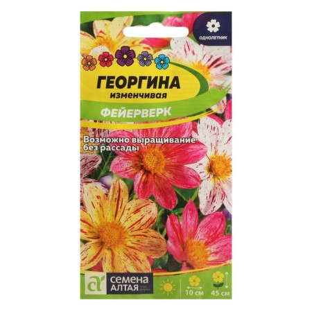 Georgin flower seeds "fireworks", SE. ALT, c/p, 0.2 g