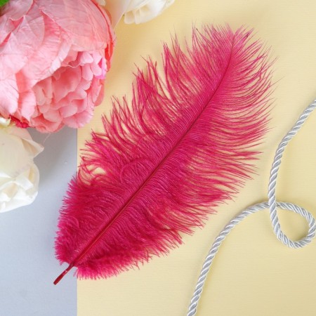 Feather for decor, size: 24 cm, burgundy color-3