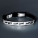 Fly collar with reflective coating "fish", 30 x 1 cm, silver