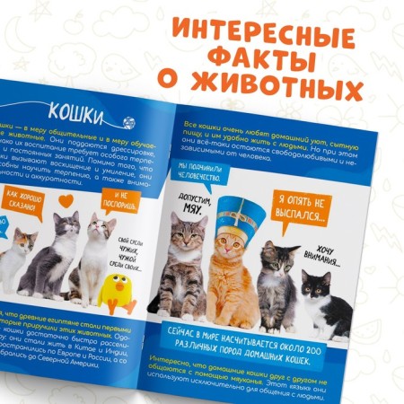 Mini-encyclopedia "Pets", 20 pages, 12 × 17 cm, mi-mi-Mimka-2
