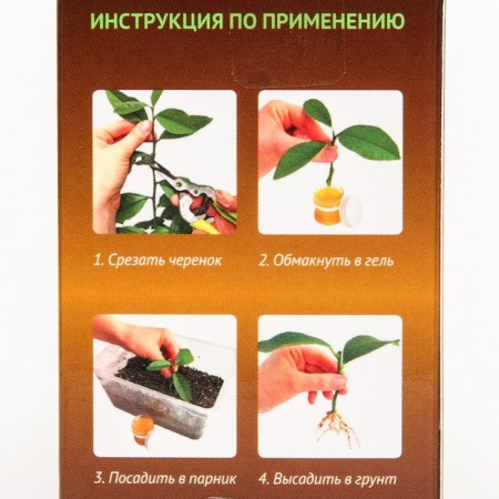 Stuffer for indoor perennial colors "Radigrin", orange, 30 ml-2