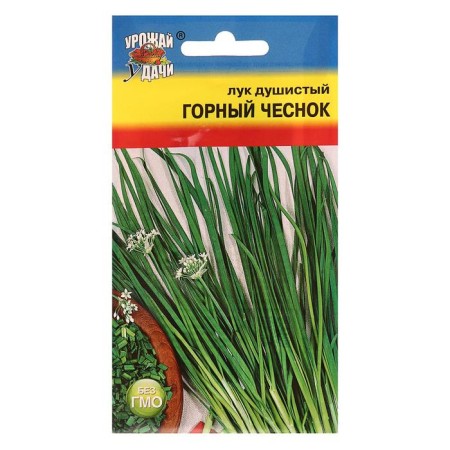 Fragrant onion seeds "Mountain garlic", 0.2 gr