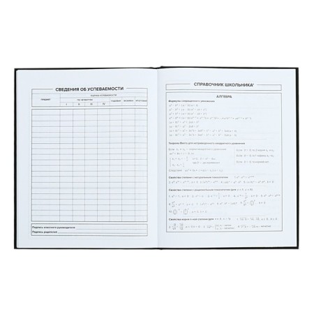 School diary for grades 1-11, 48 sheets "Main", solid cover, "software", universal cheat sheet, block 65g/m2-8