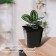 Pot for seedlings, 5 l, d = 18.5 cm, h = 20 cm, black, Greengo