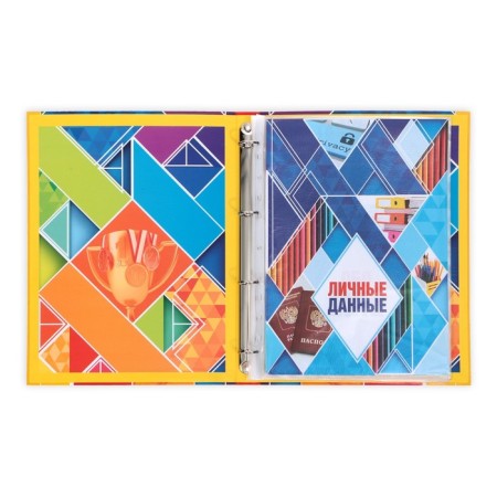 School folder on the rings "Portfolio of the Schoolchman", 13 sheets-undergraduate, 24.5 x 32 cm.-1