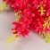 Bouquet "Cheryomukha late" 42 cm, mix