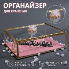 Organizer for storage 