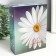 Photo album for 100 photos "Flower collection10" 10x15 cm mix