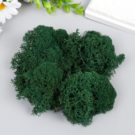 Moss stabilized "gray green" 45 grams (+-5 gr)