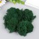 Moss stabilized "gray green" 45 grams (+-5 gr)