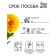 Vanilla calendula seeds, 0.3 g