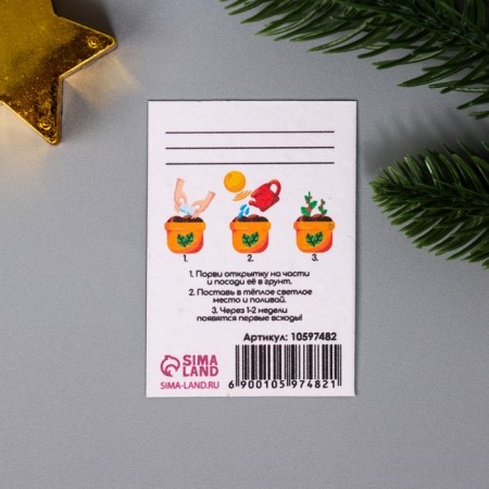 A set of postcards with the seeds "grow itself" "Happy New Year" snakes 5*7cm-4