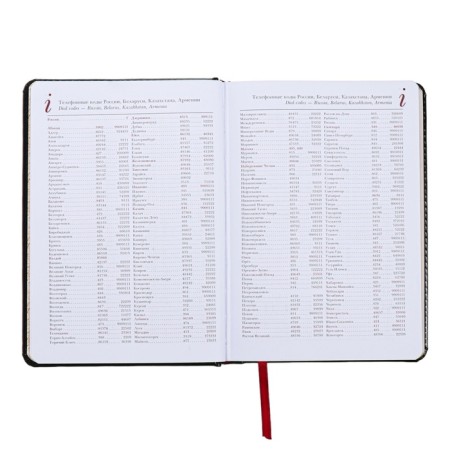 Diary of a low -end A5+, 136 sheets of Sidney Nebraska, solid cover, artificial leather, gold cut, black-7
