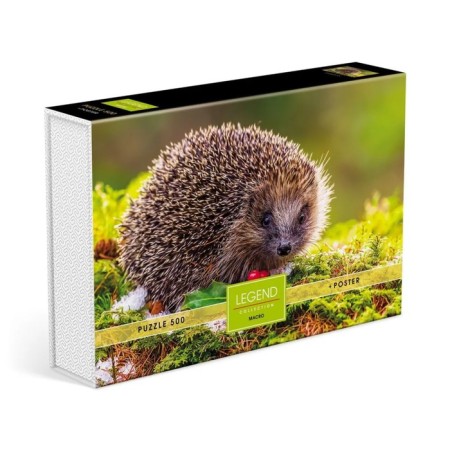 Puzzles "Hedgehog in a clearing" in a gift box, 500 elements + poster