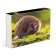 Puzzles "Hedgehog in a clearing" in a gift box, 500 elements + poster