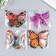 Magnet Plastic for the fabric "Double butterflies" NR 6 pcs mix h = 10; 10.5; 5; 6.7; 8.4; 6.7 cm