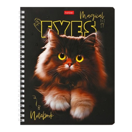 Notebook of 48 sheets in a cage, on the crest "Magic Eyes", cover Cover Cardboard, matte lamination, 3D-fluid, block 65 g/m2, mix-4