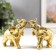 Souvenir Polystone "Golden Elephant" mix 10x10.5x4 cm