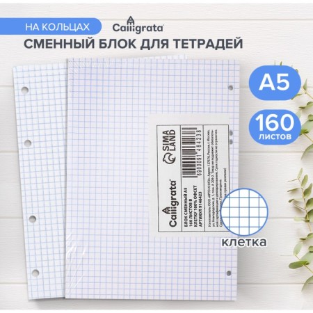 Smecked block for notebooks on A5 rings, 160 sheets in the Calligrata cell, offset, 60 g/m2, whiteness 100%