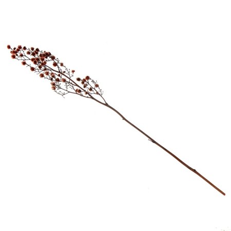 Dry flowers “Molchy Mile”, 25 g, length - 70 cm, pink color-3