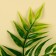 A branch of greens, size 1 pcs11*5*5cm., Set 3 pcs.