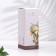 Diffusor aromatic Stella Fragrance "Dark Amber", 100 ml, dark amber