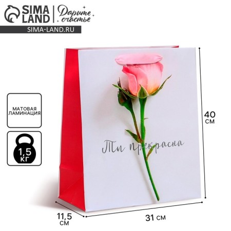 Gift laminated vertical package, packaging, “you are beautiful”, l 31 x 40 x 11.5 cm