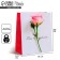 Gift laminated vertical package, packaging, “you are beautiful”, l 31 x 40 x 11.5 cm