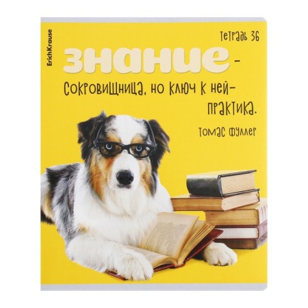 Notebook of 36 sheets in the Erichkrause Cage "Scientific Dogs", cover Combined Cardboard, Offset Block, Mix-4