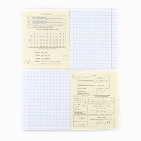 Subject notebook A5, 48 liters on the paper clip “Bright. Algebra "Twin Lac, Uh Lak, Congrev-2