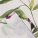 Towel Ethel "Leaves" 40x73 cm, sarzha, 100% HL, 190 g/m2
