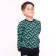 Sweatshirt for a boy, blue color, height 110 cm